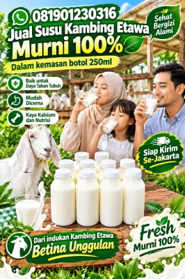 jual susu kambing etawa murni di jakarta